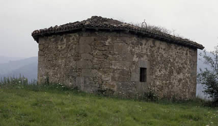 Irudia