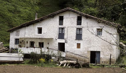 Irudia