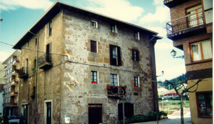 Irudia