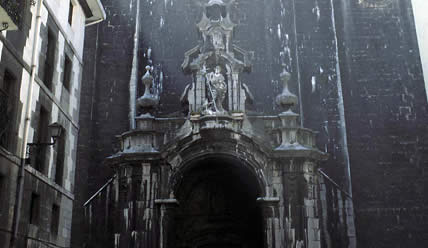 Irudia