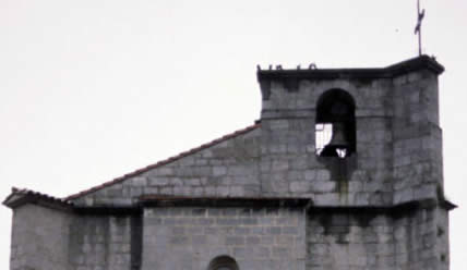 Irudia