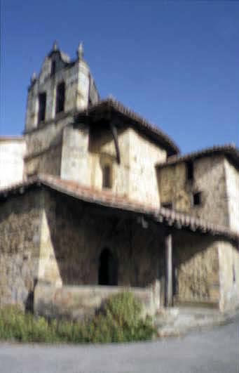 Irudia