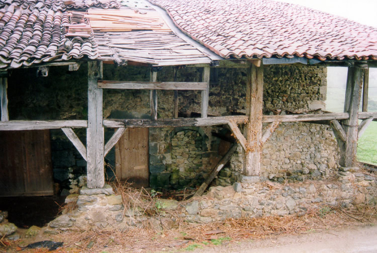 Irudia