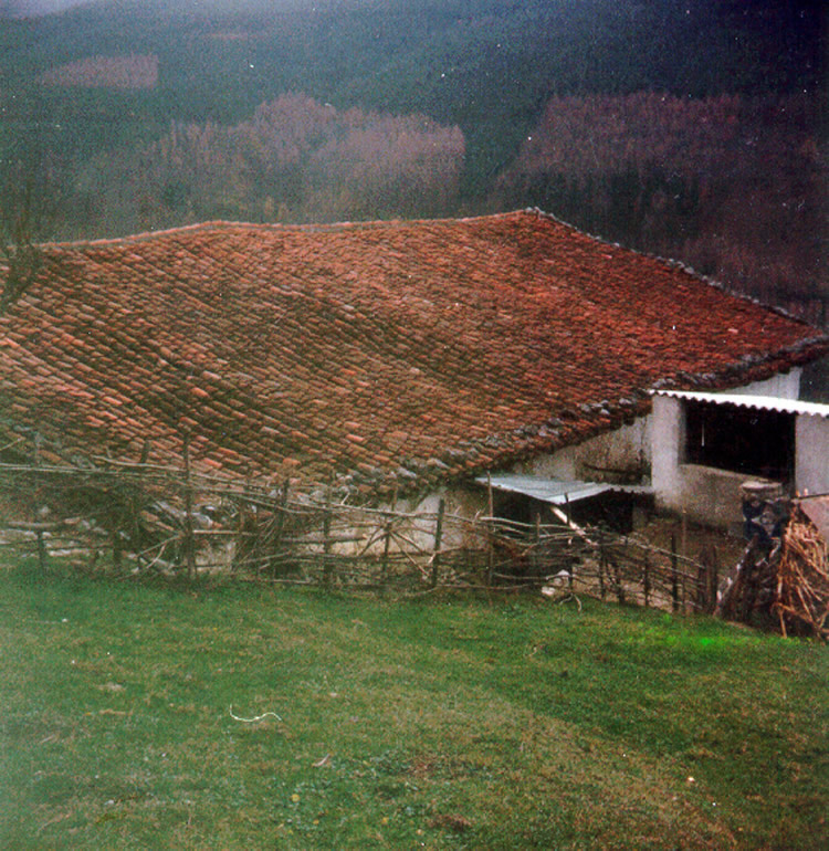 Irudia