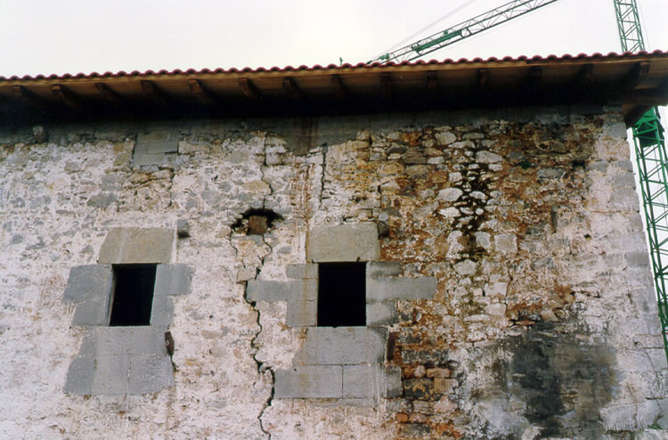 Irudia