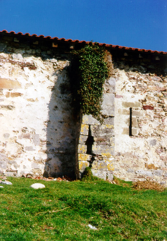 Irudia