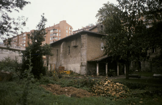 Irudia