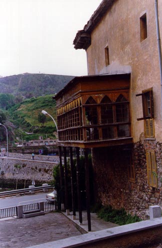 Irudia
