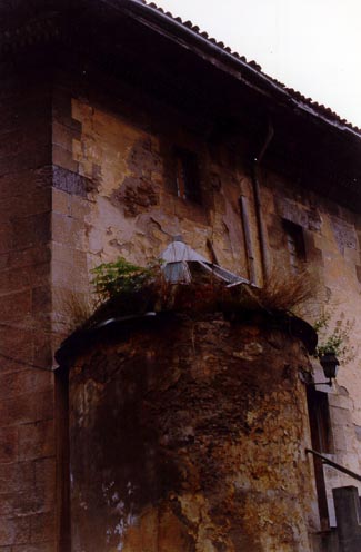 Irudia