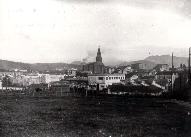 Irudia
