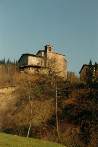 Irudia