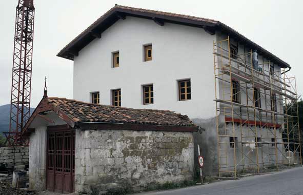 Irudia
