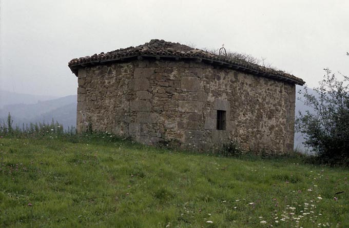 Irudia