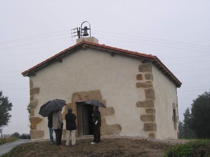 Irudia