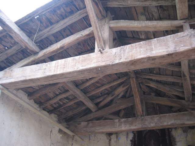 Irudia