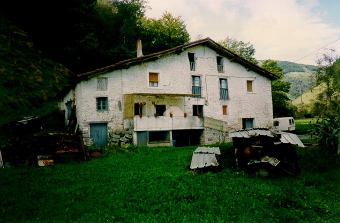 Irudia