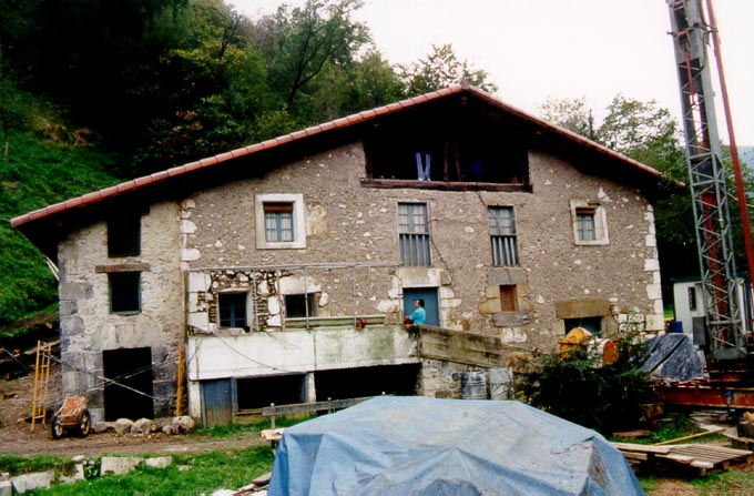 Irudia