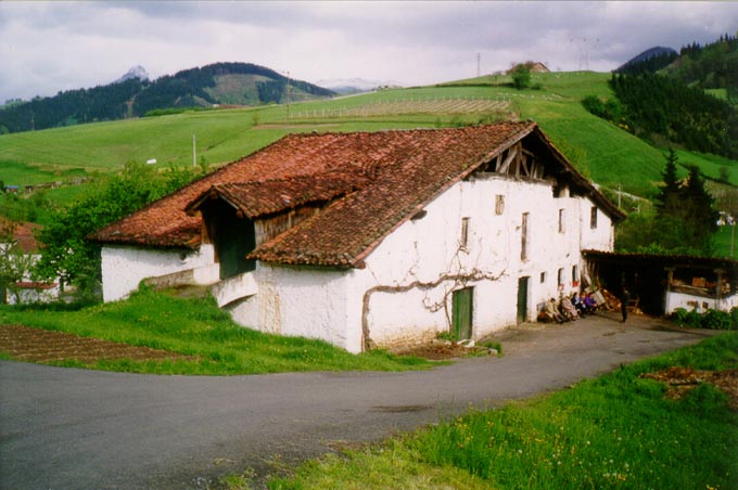 Irudia