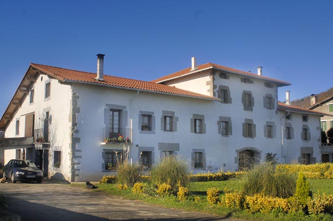 Irudia
