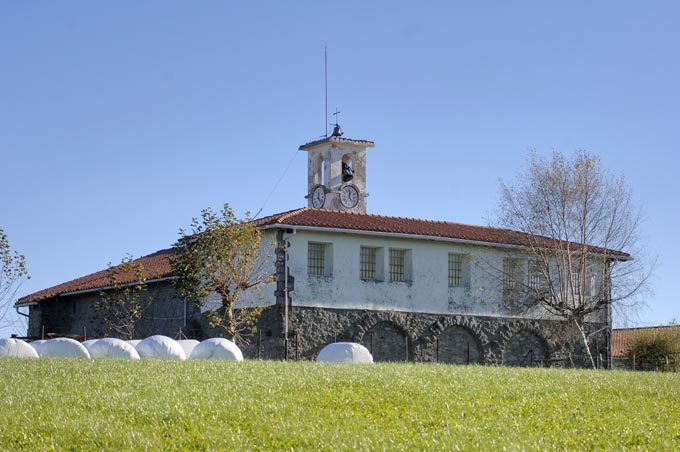 Irudia