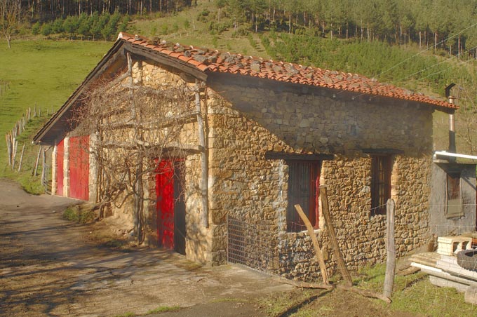 Irudia