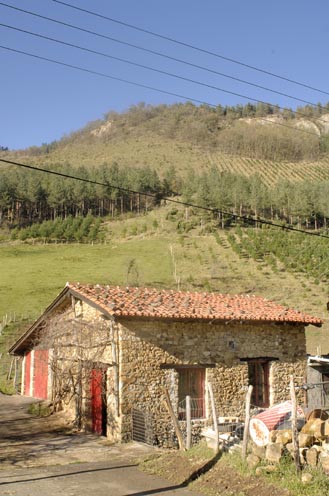 Irudia