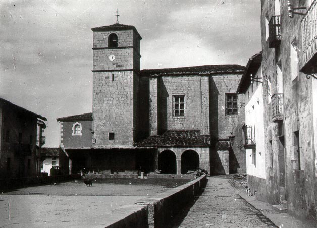 Irudia