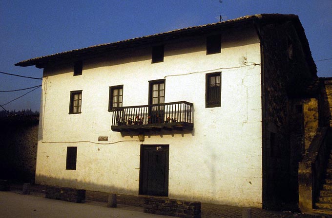 Irudia