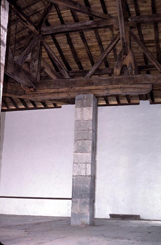Irudia